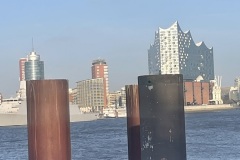 IMG_9207